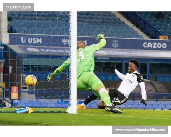 富勒姆客场负于纽卡士气受挫球队近况持续低迷